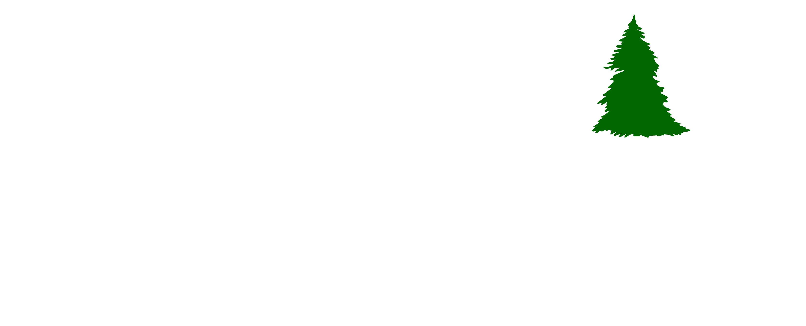 Evergreen Real Estate Home Page 8z Real Estate